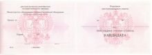 Диплом кандидата наук с 2013 по 2023 годы