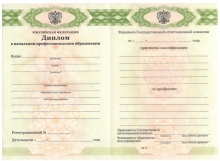 Диплом ПТУ с 2011 по 2023 годы
